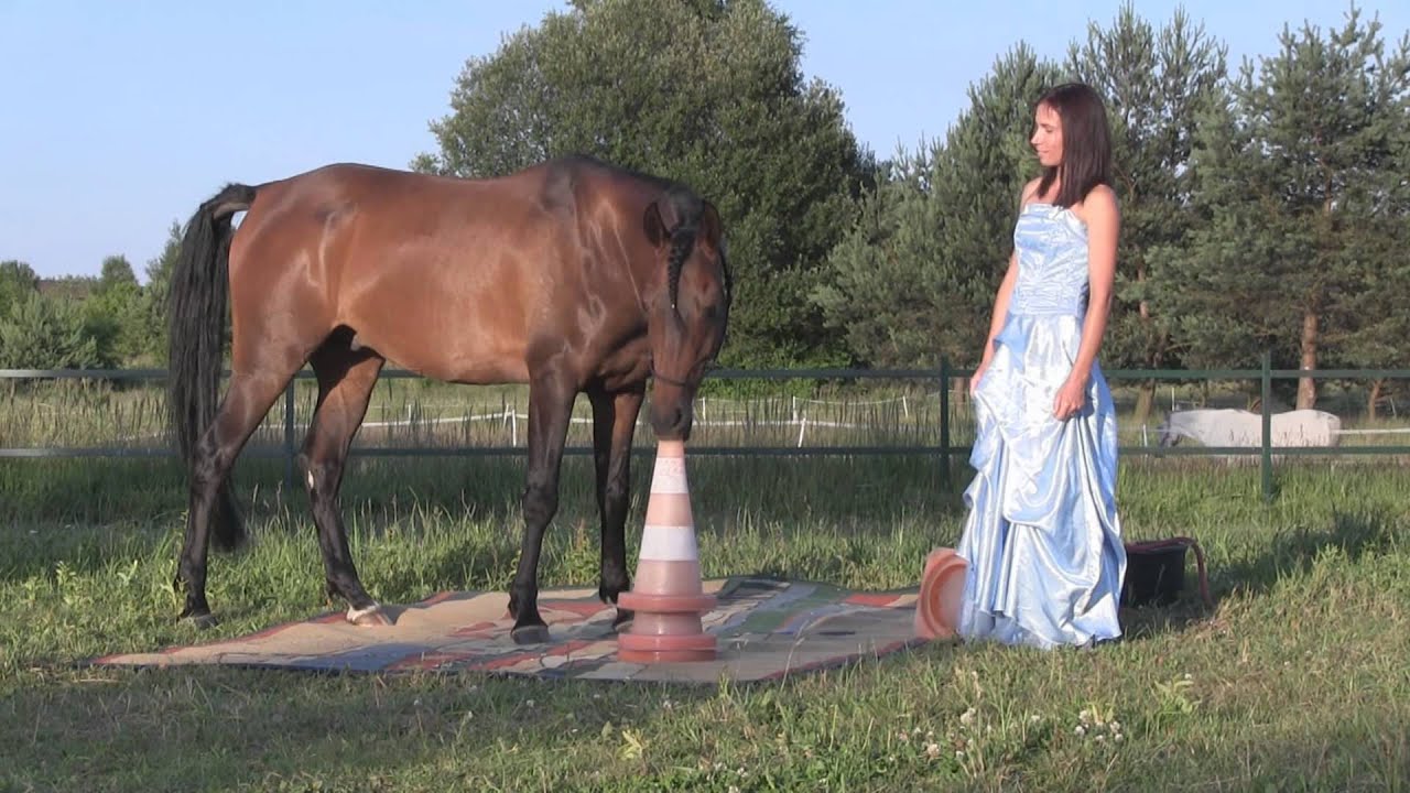 Anna Izdebska i El Basim