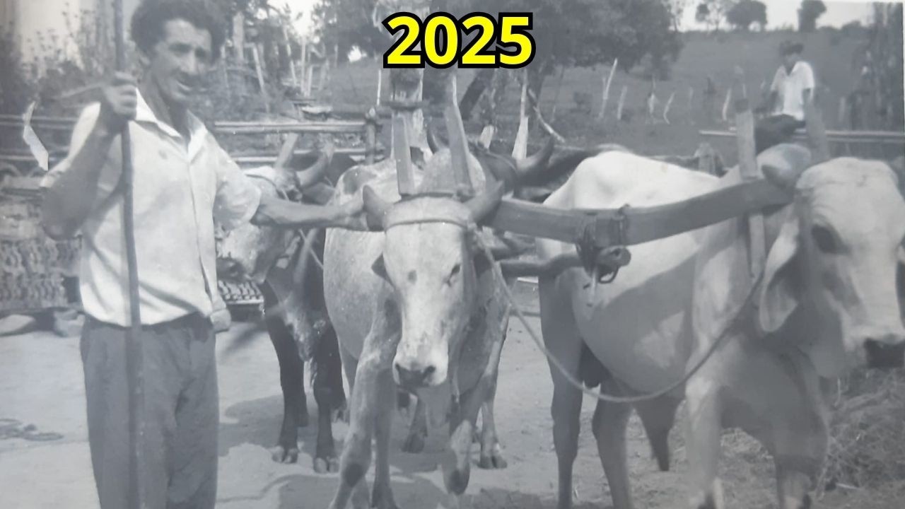 A HOMENGEM AOS CARREIROS 2025 !