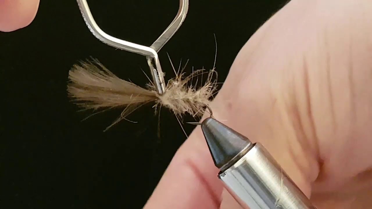 The Sedge di Loris Zecchinello