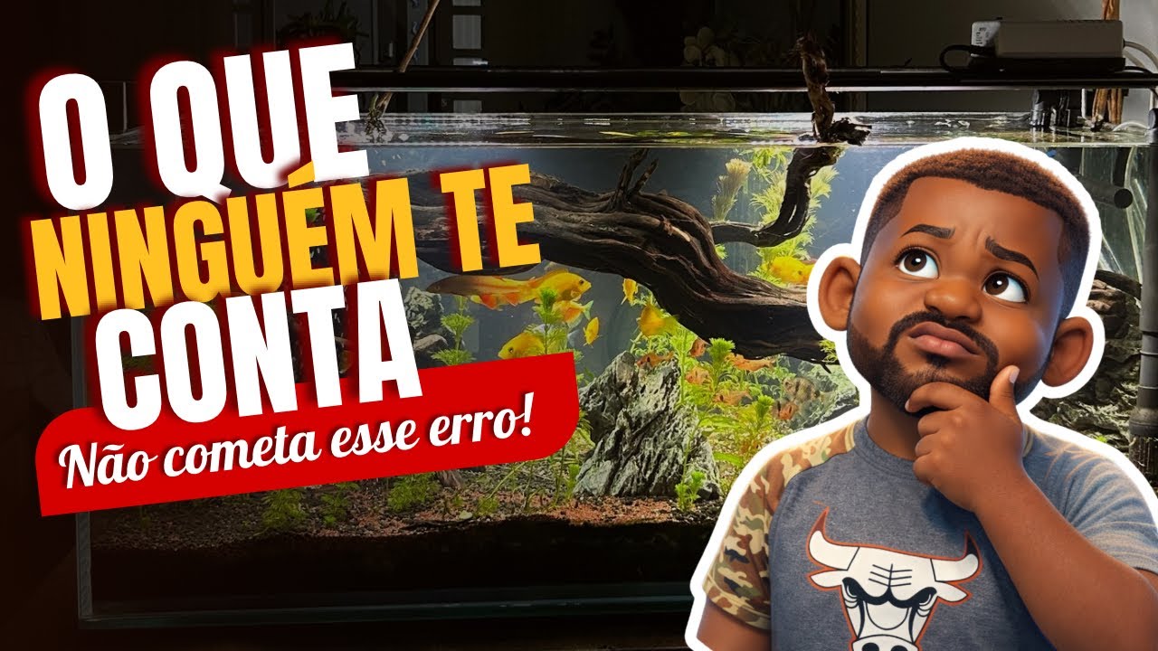 O que ninguém te conta … 