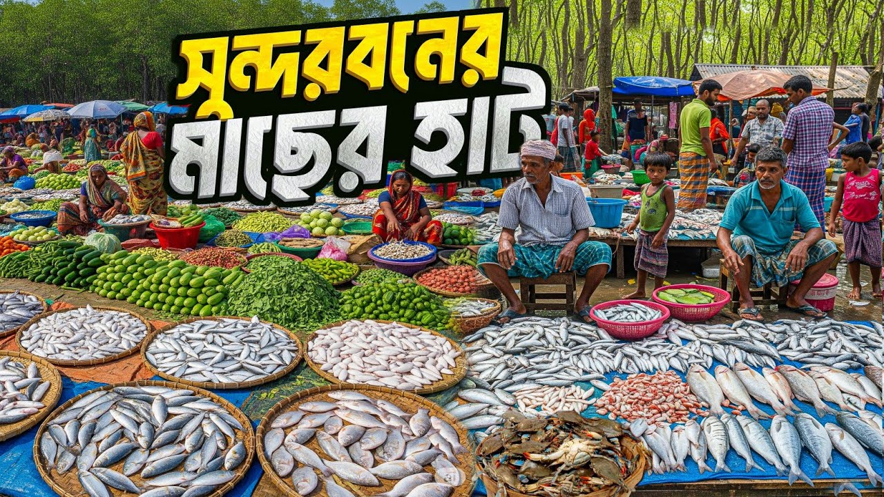 সুন্দরবনের সবচেয়ে বড় মাছের হাট | Sundarban Biggest Fish Market 😱