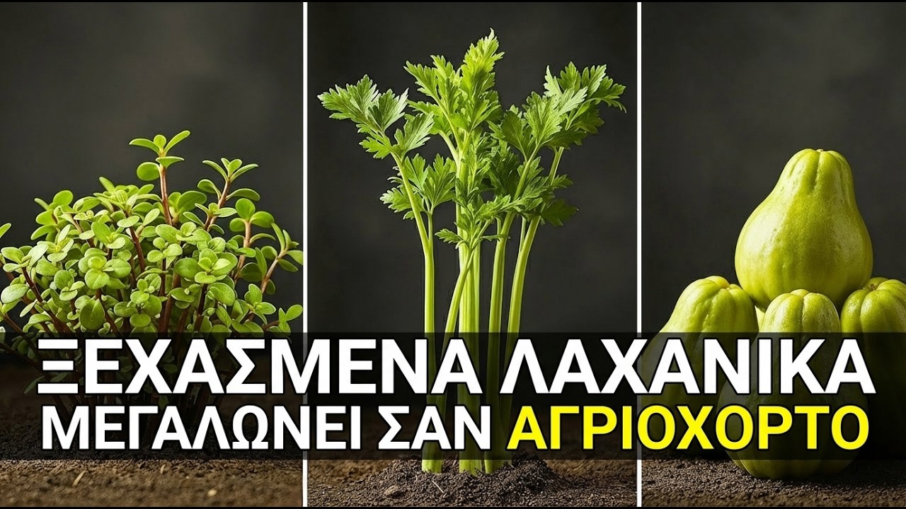 14 Ξεχασμένα Λαχανικά που Μεγαλώνουν σαν Αγριόχορτα – Ο Θησαυρός του Τεμπέλη Κηπουρού