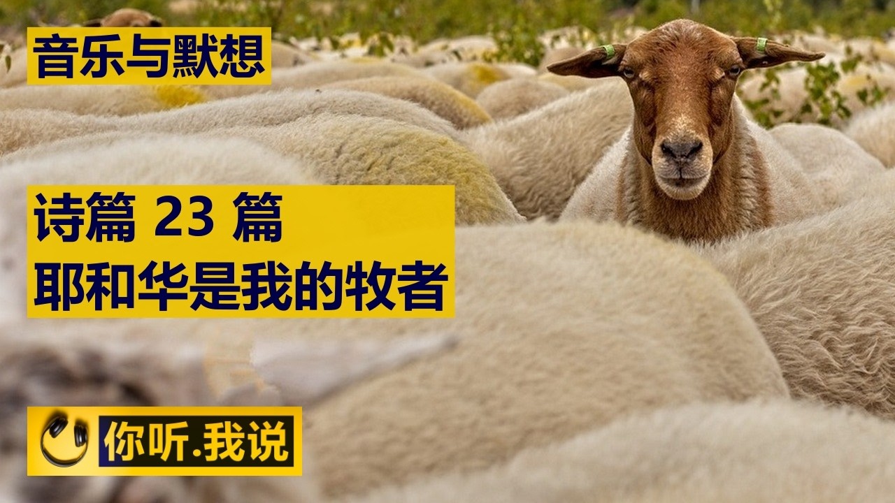 [ 音乐与默想 - 耶和华是我的牧者 ]..... 青草地 | 水边 | 灵魂苏醒 | 走义路 | 死荫幽谷 | 安慰 | Music | Meditation | Devotional | 你听我说