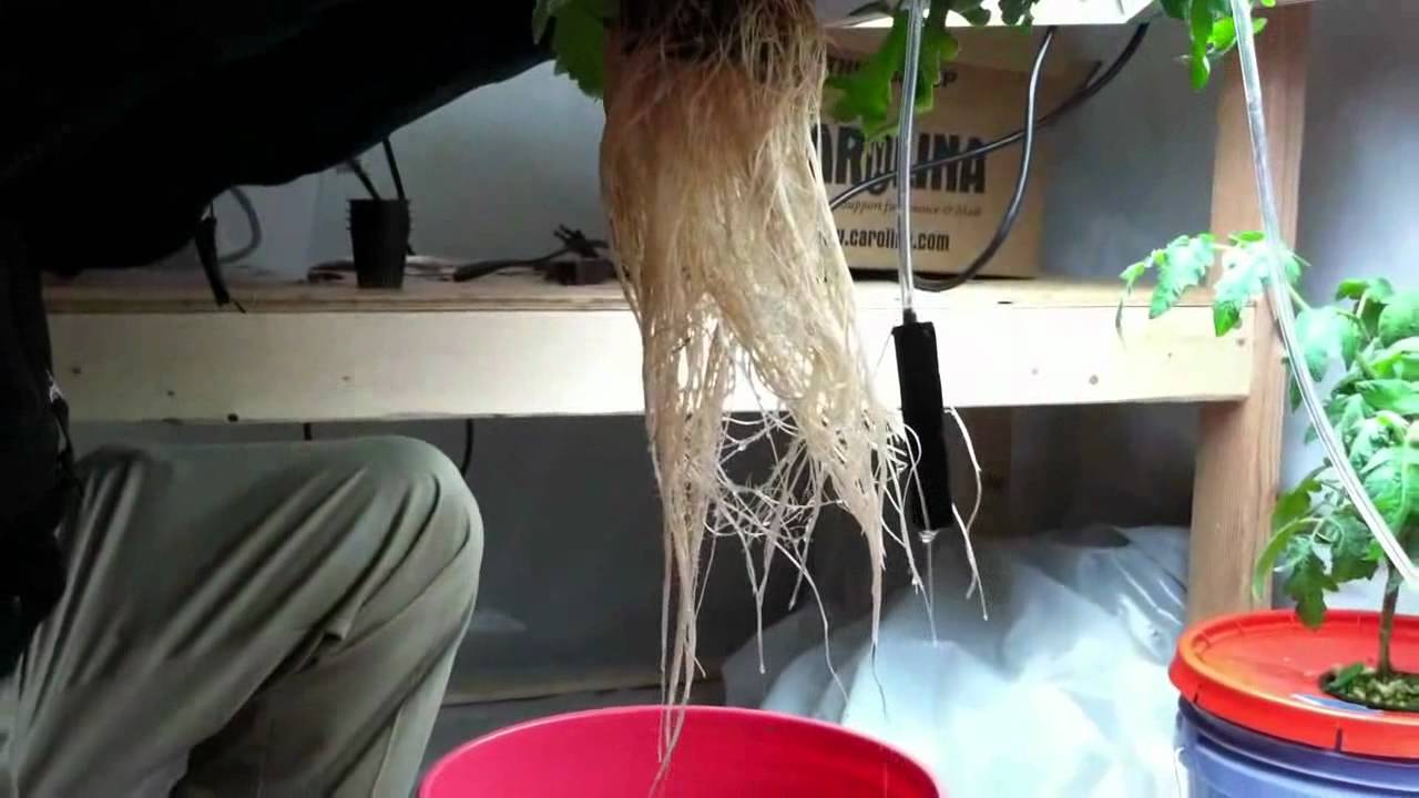Deep Water Submersion (Water Change)