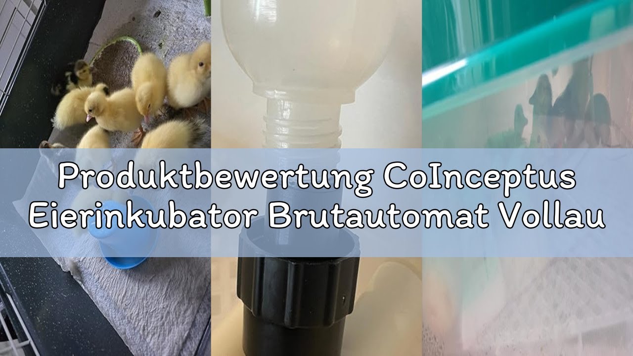 Produktbewertung CoInceptus Eierinkubator Brutautomat Vollautomatisch, Inkubator für 24-36 Eier mit
