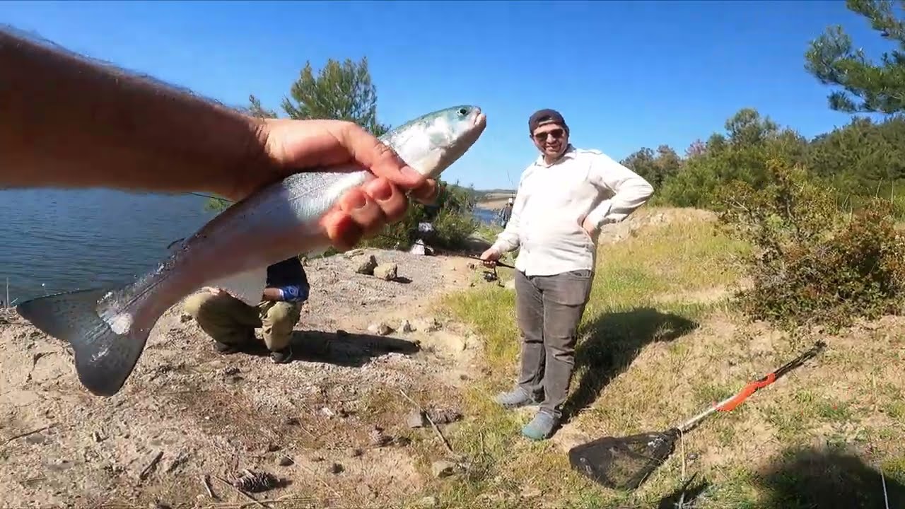 YOK BÖYLE BİR BALIK AVI...  SİLİKON YEMLE AT-ÇEK ALABALIK AVI #trout #lrf