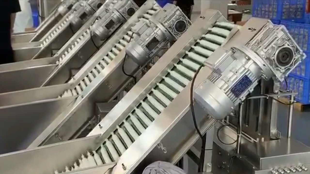 Autimatic multi ice lolly wrapping packing machine