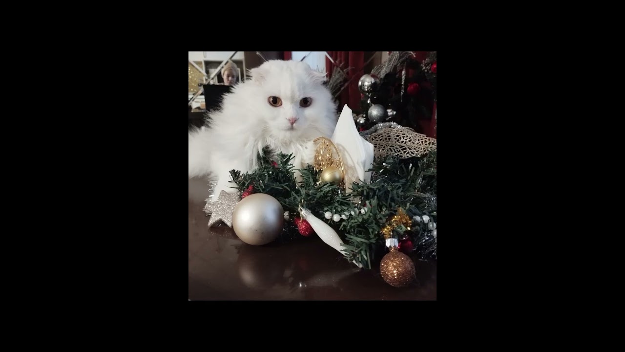Новая озвучка комиксов по Лололошке!