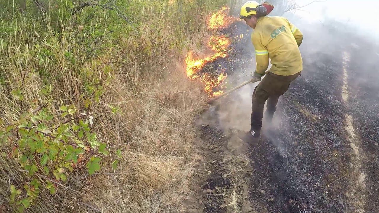 Brigada forestal 🔥🔥 guerreros del fuego- incendio pastizal