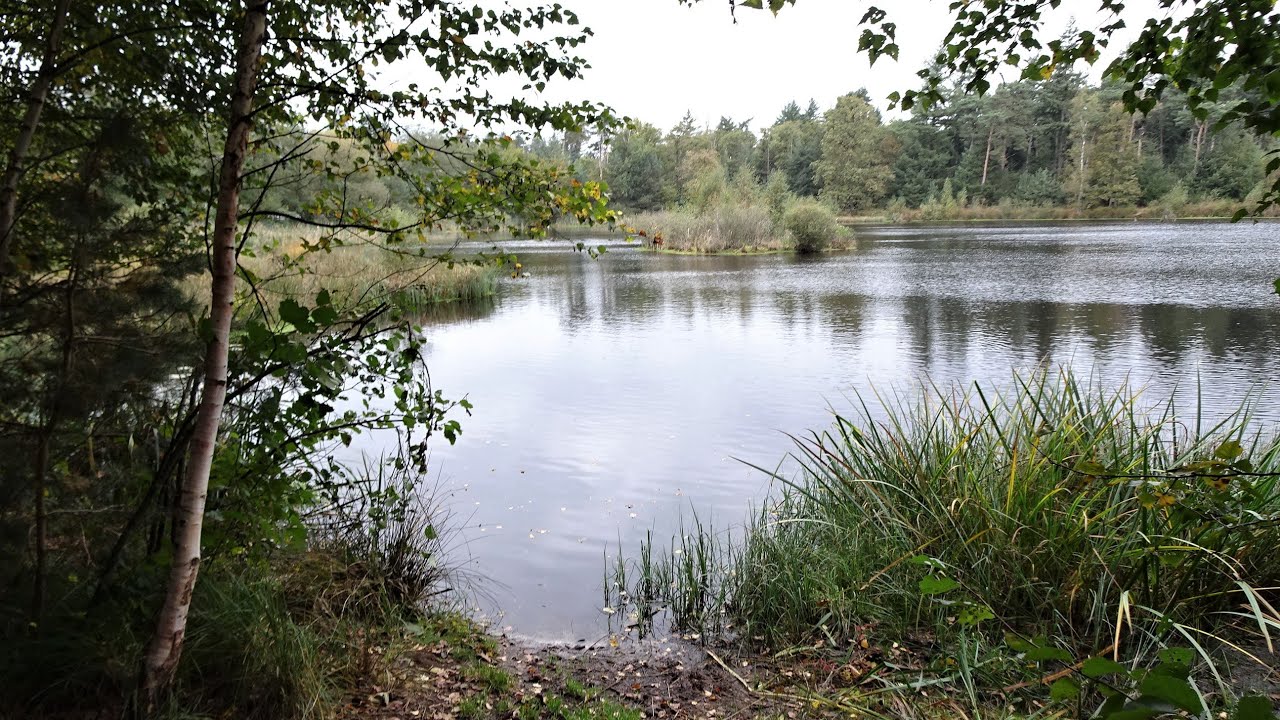 1526 Gemonde (Brabant)