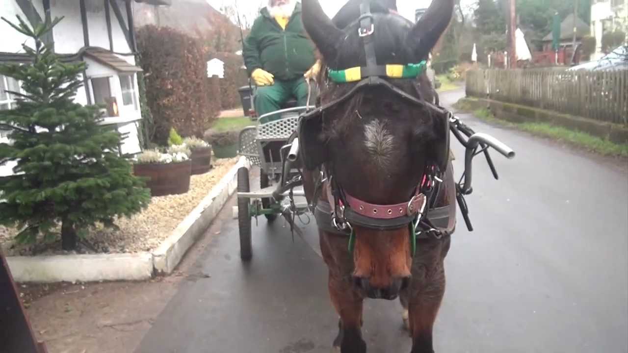 Retraining a hard-mouthed horse to drive in a soft kind bit.