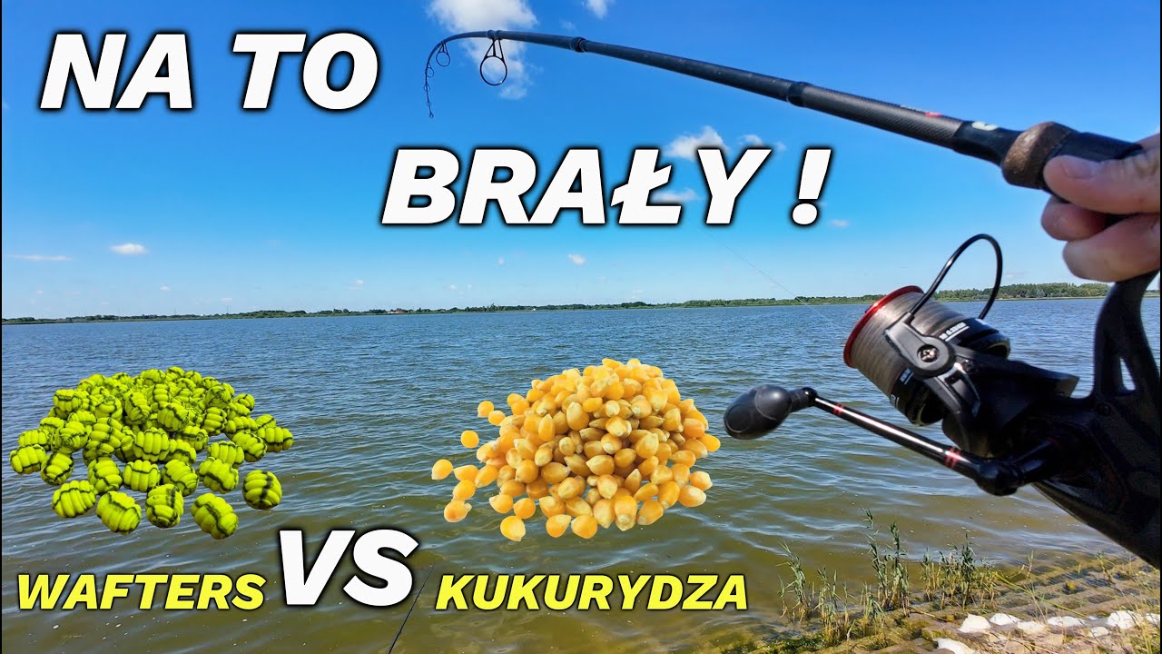 ZOBACZ test przynęt nad jeziorem PZW [4K]