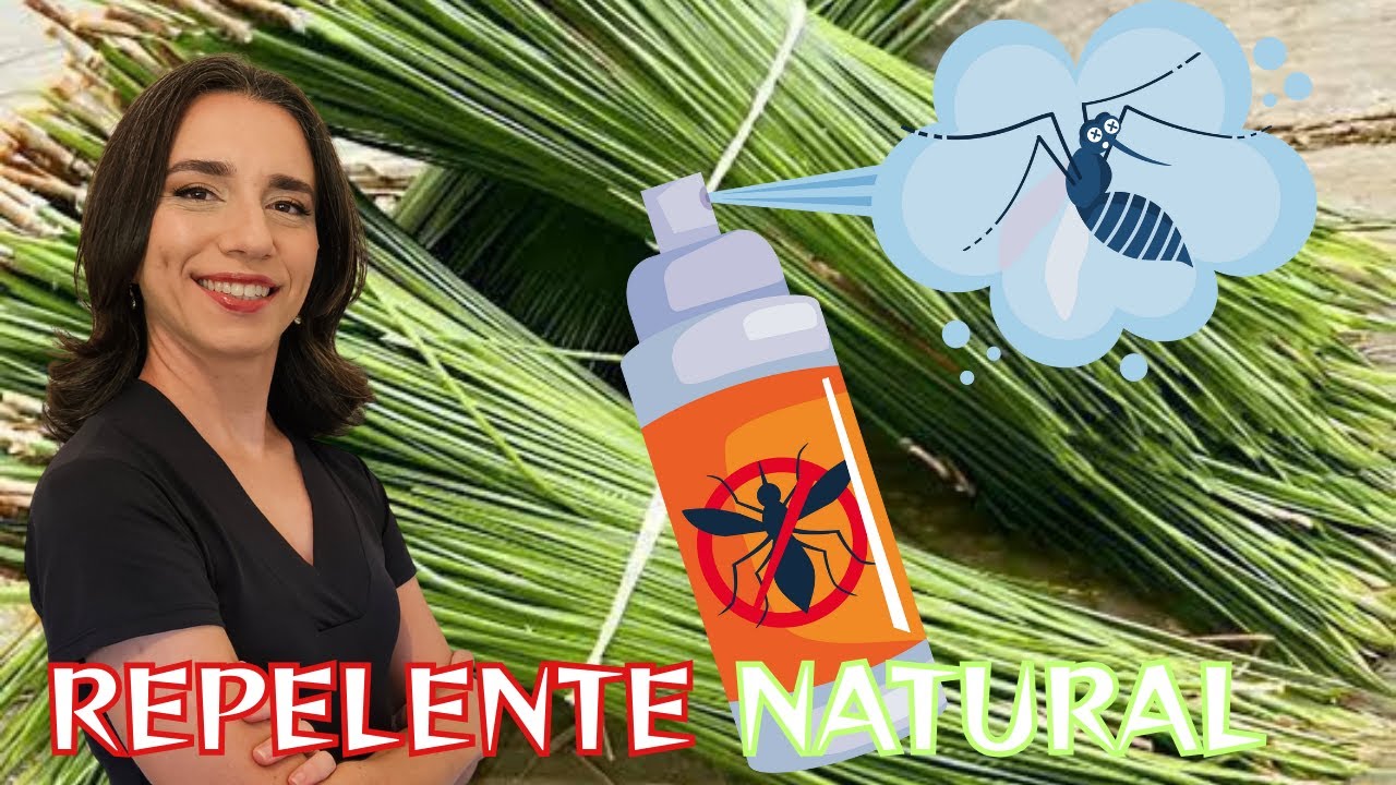 Repelente de agulha de pinheiro potente contra os mosquitos fabricados