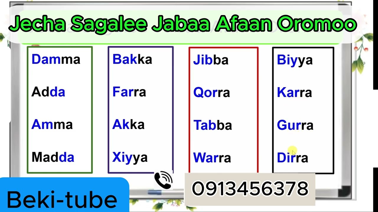 Jecha Sagalee jabaa