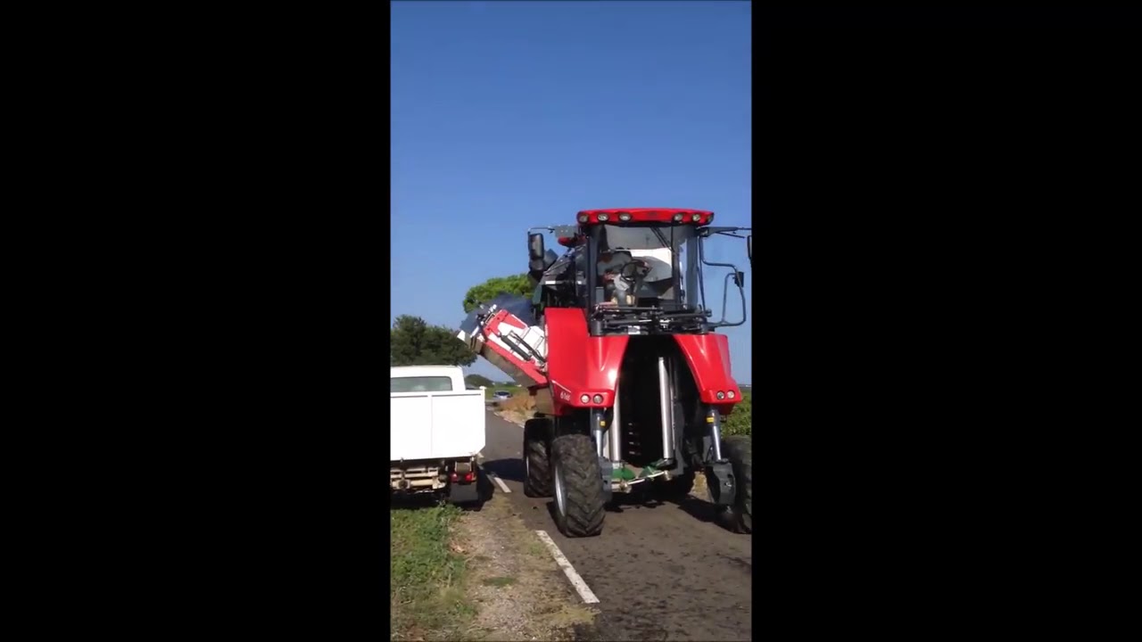 Machine &agrave; vendanger ERO GRAPELINER S&eacute;rie 6000