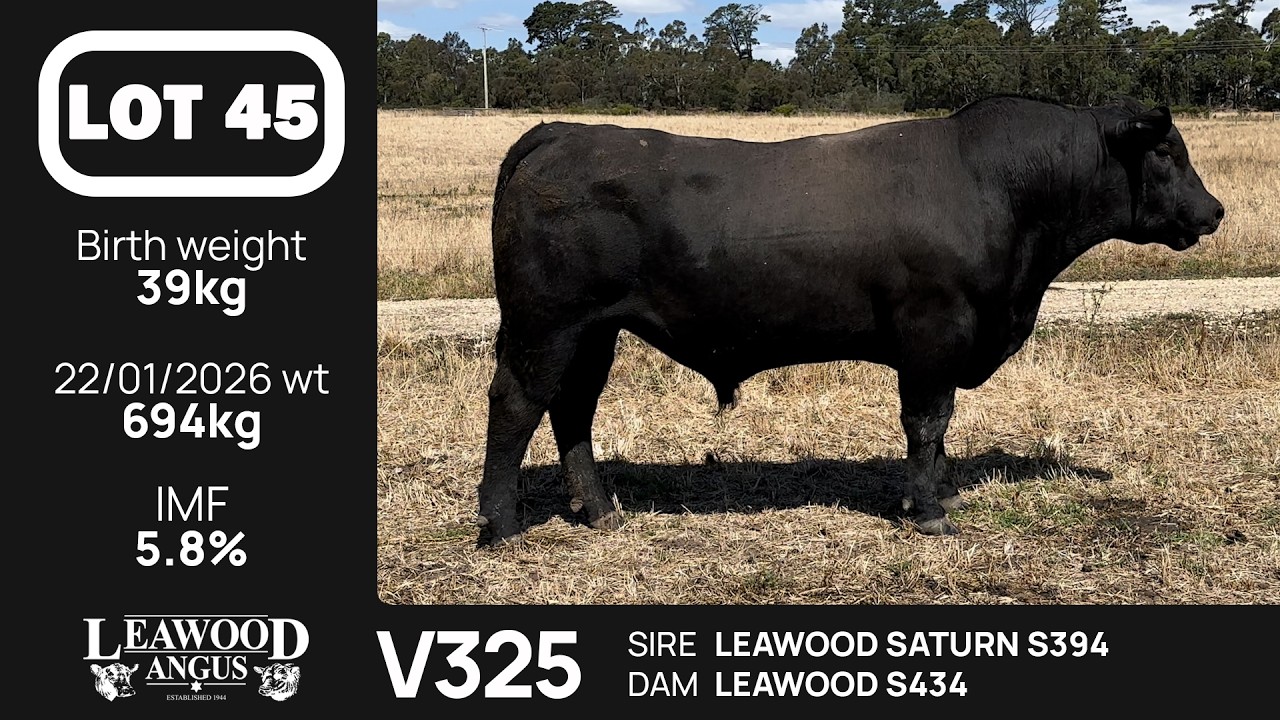 Lot 45 - Autumn Sale 2026