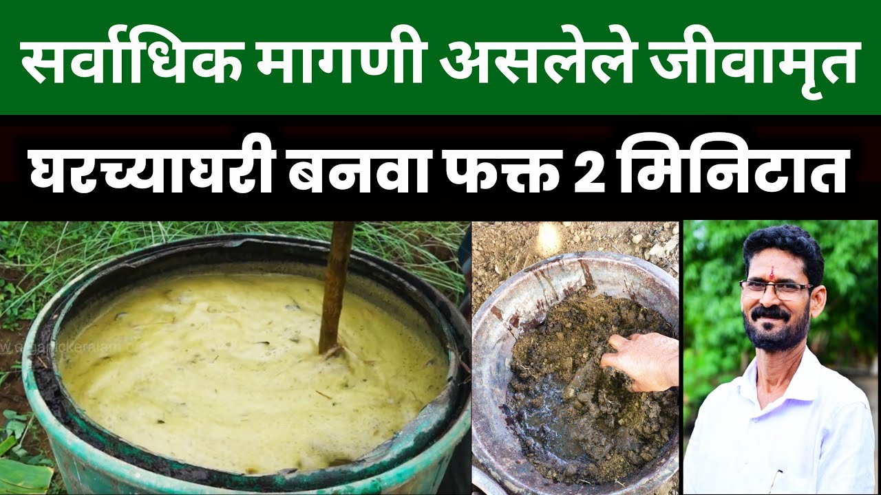 सर्वाधिक मागणी असलेले जीवामृत बनवा घरच्याघरी फक्त २ मिनिटात  Jeevamrut Success Story By Gulab Ghule