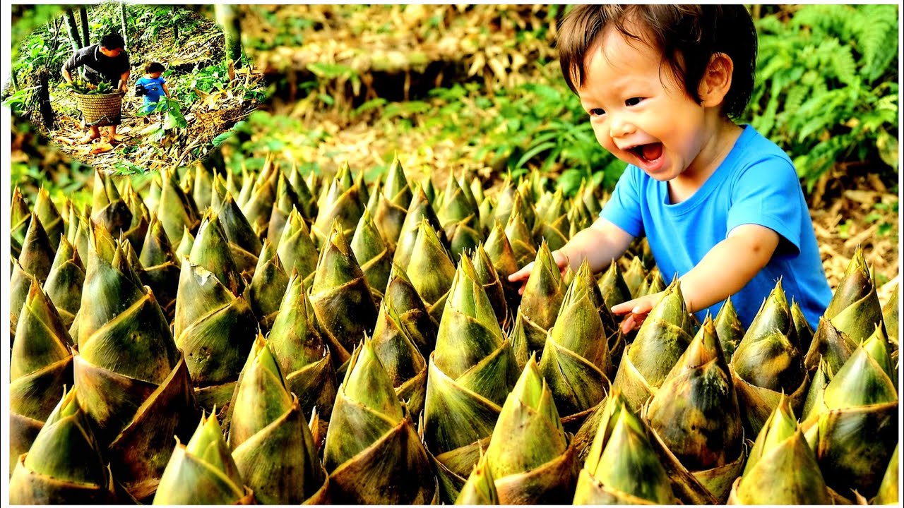 The boy discovered a huge pile of bamboo shoots – ready to be harvested with his father.