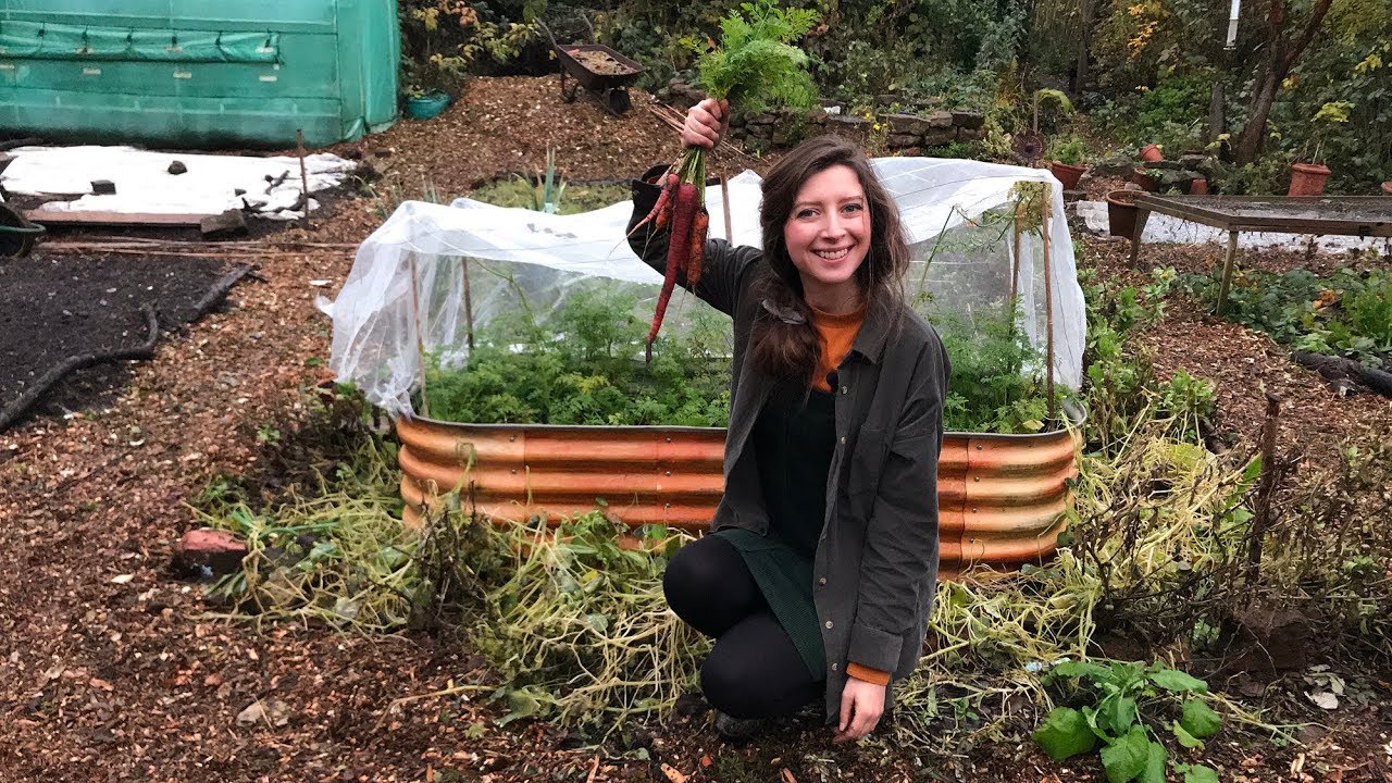 November Vlog & Allotment Tour / Homegrown Garden
