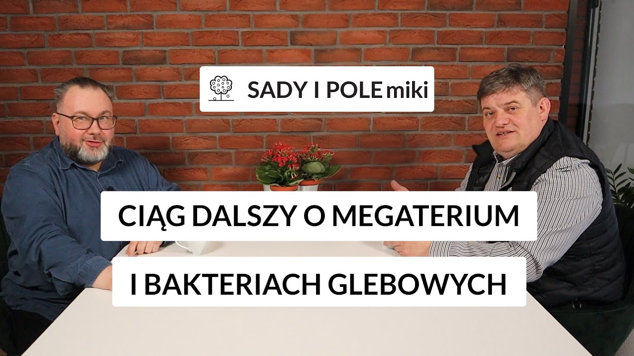 Ciąg dalszy o megaterium i bakteriach glebowych - SADY i POLEmiki 2/2023