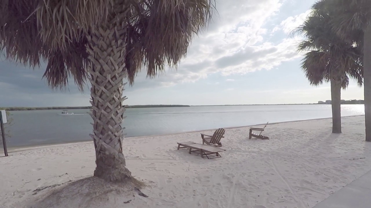 The Eckerd Tour; My life as you see it