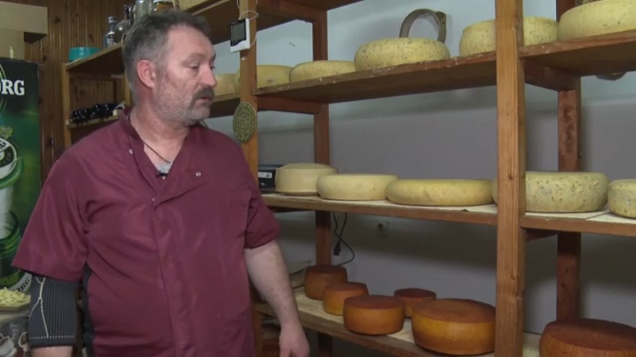 Jovica Radovanović iz Takova kod Uba proizvodi raznovrsne izvanredne vrste sira