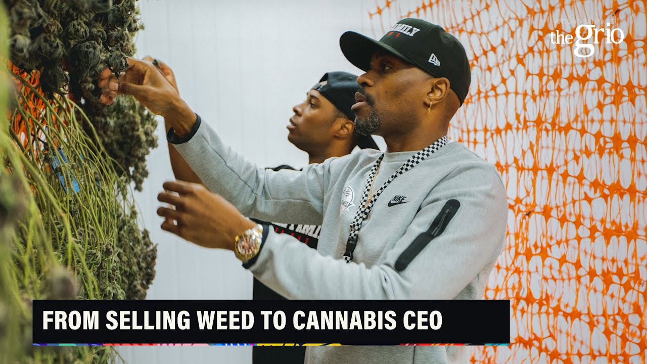 How the Ball Brothers Became Cannabis CEOs