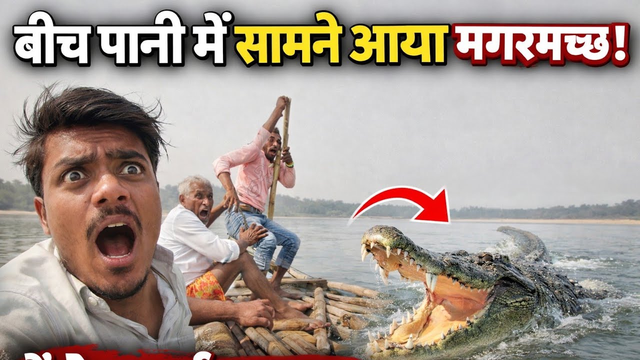 पानी में लकड़ी ले जा रहा था 😱 तभी सामने आ गया मगरमच्छ! 🐊