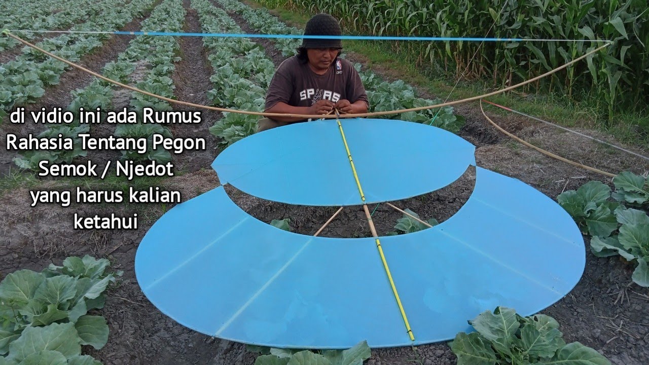 Akibat niatan Nyolong Jagung, Layangan jadi uwer Uwer Teros - Tapi ada Rumus Rahasia tentang Semok