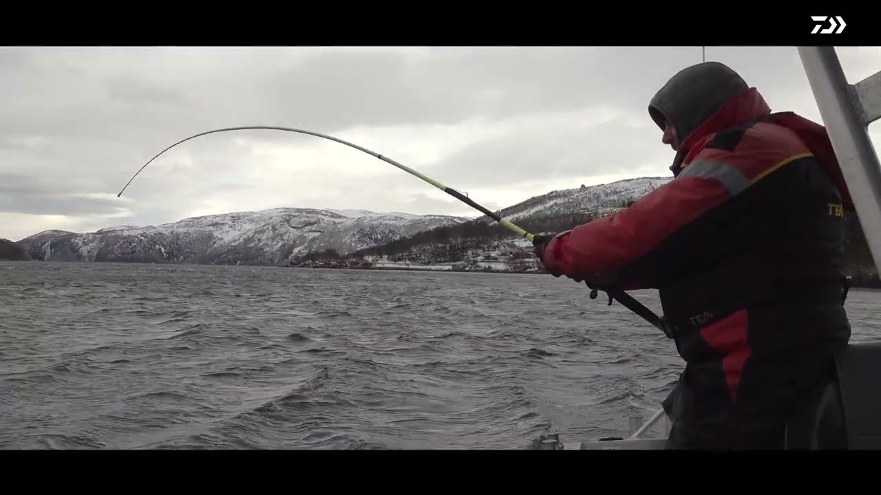 Arne Seiberlich im Drill mit großem Heilbutt in Norwegen | SEALINE X'TREME TRAVEL INTERLINE