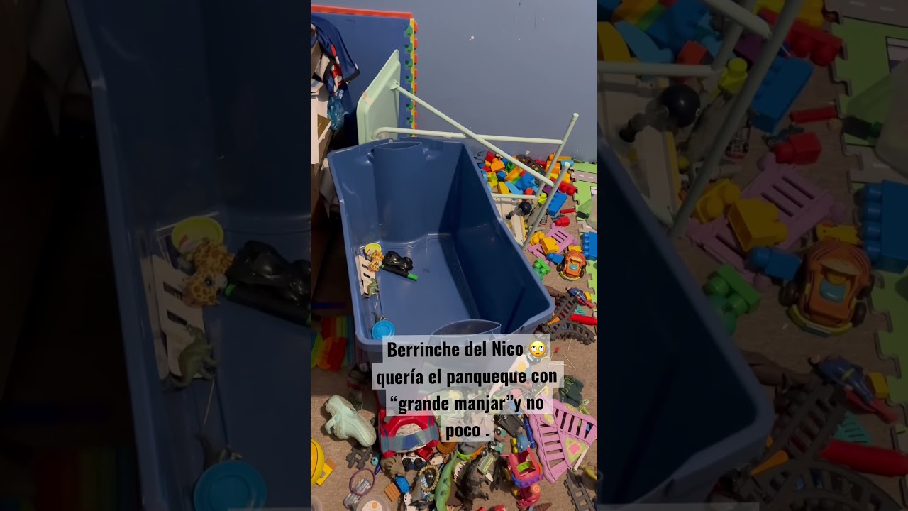 Berrinche 4 a&ntilde;os 😭#crianzarespetuosa 😂