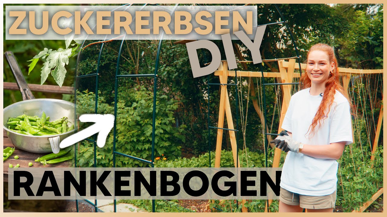 RANKBOGEN BEPFLANZEN 🌱 Gemüse vertikal anbauen
