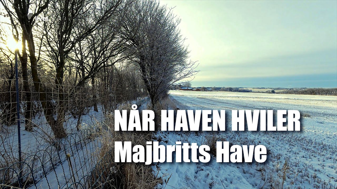 Januar i Majbritts Have: Overblik, Noter og Nye Visioner