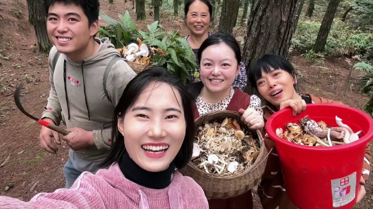 Fall in Love with Mushroom Hunting 🥰 Enough Fungi for This Year | Couple's Pastoral Life in Sichuan