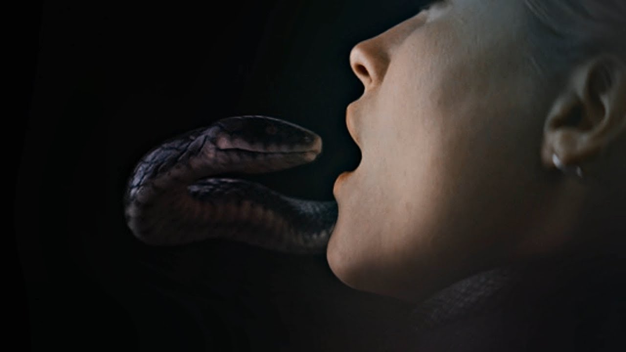 death eaters; [bring your friends}