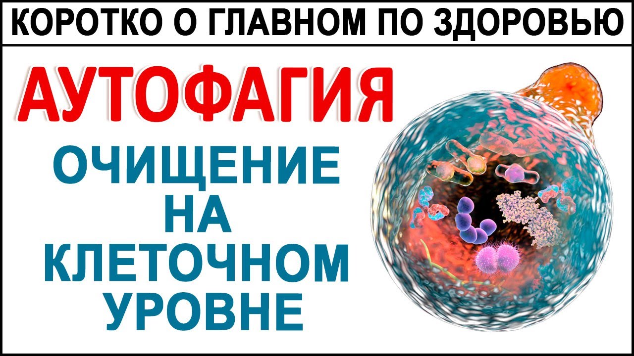 Хотите жить дольше? Тогда запускайте Аутофагию - самоочищение и омоложение организма.