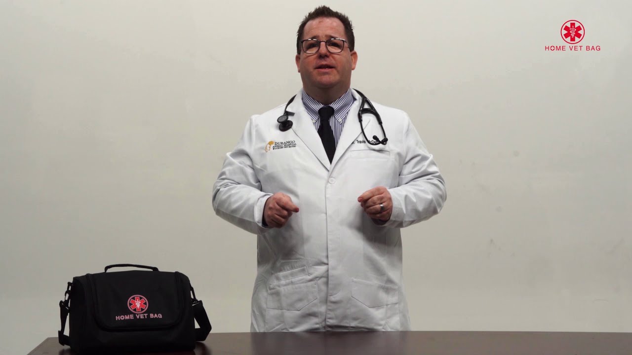 Pet Emergency Tips: Abscess
