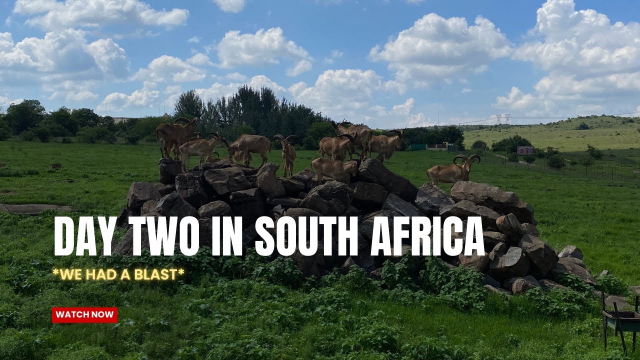 OUR SOUTH AFRICAN SAFARI EXPERIENCE | GIRAFFES, GAME DRIVE, & GOOD FOOD | S3:E2