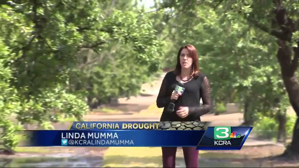 Almond farmers defend their use of water