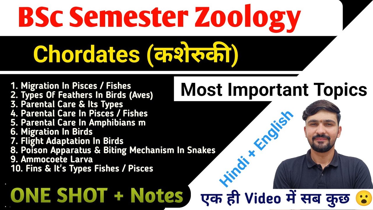 One Shot Chordates | Chordates Important Topics | BSc Semester || By Dadhich Sir 