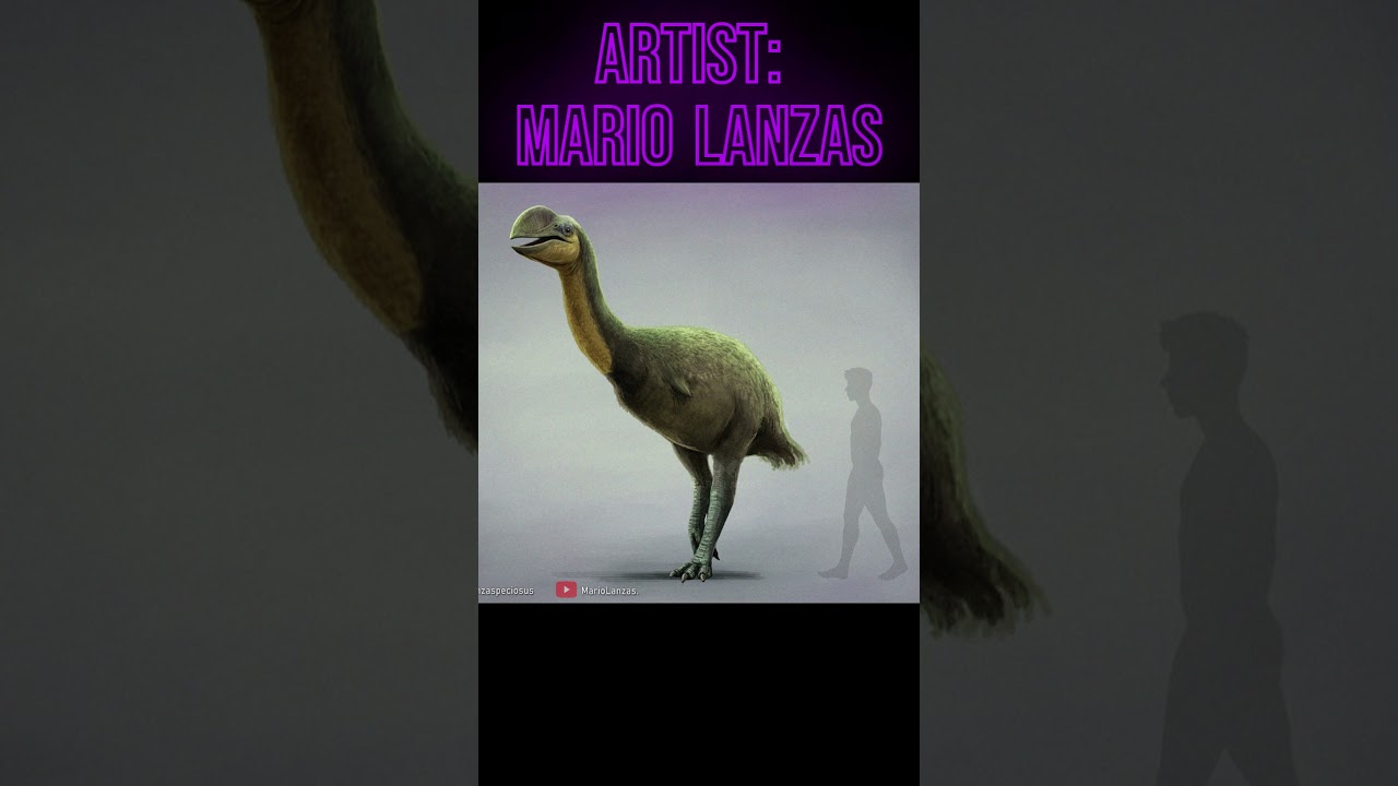 Dromornis #animalfacts #bird #australia #dromornis #extinctanimals #duck #demonduckofdoom #demon