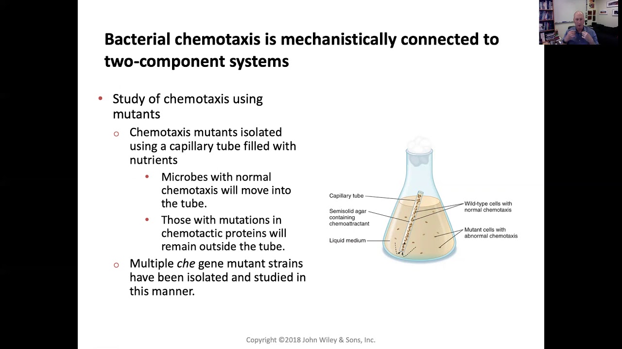 11-03-20 Transcriptional regulation - Two component systems