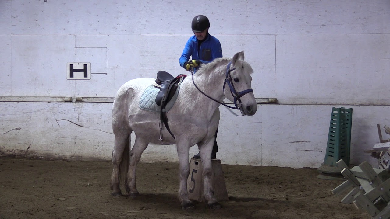 Senior horseback riders