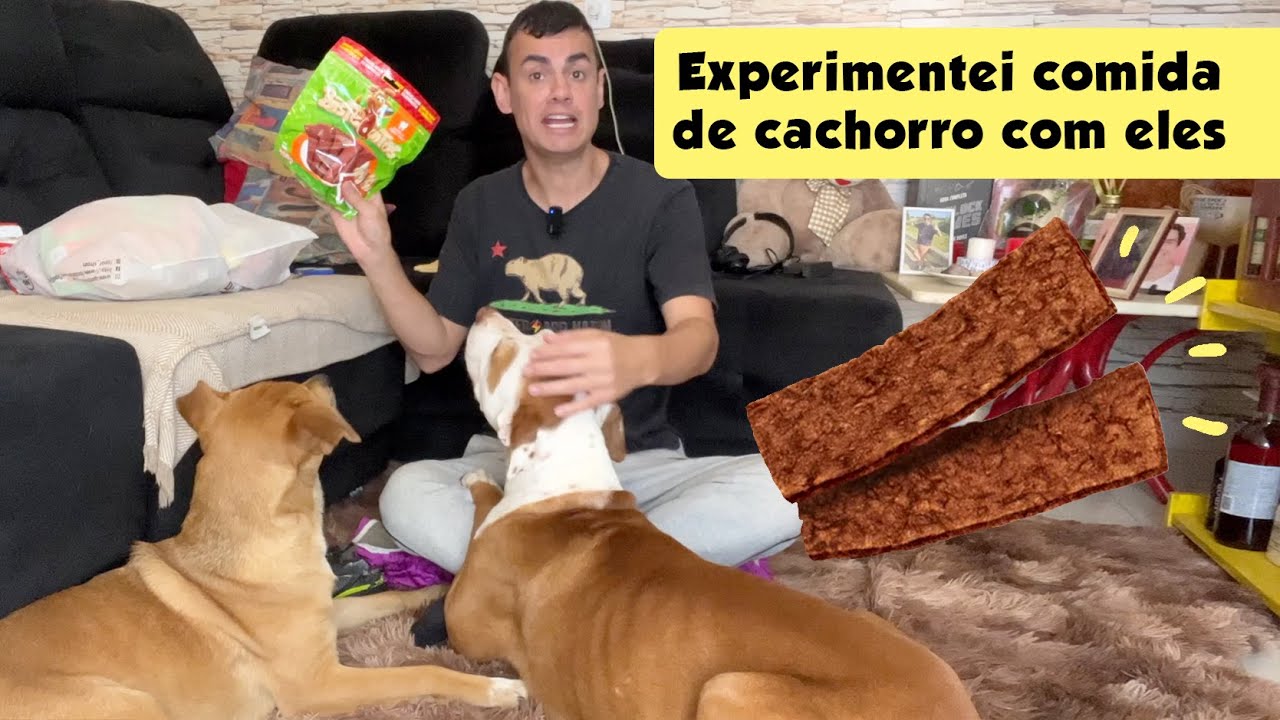 EXPERIMENTEI COMIDA DE CACHORRO PRA SABER QUE GOSTO TEM - Fubá online