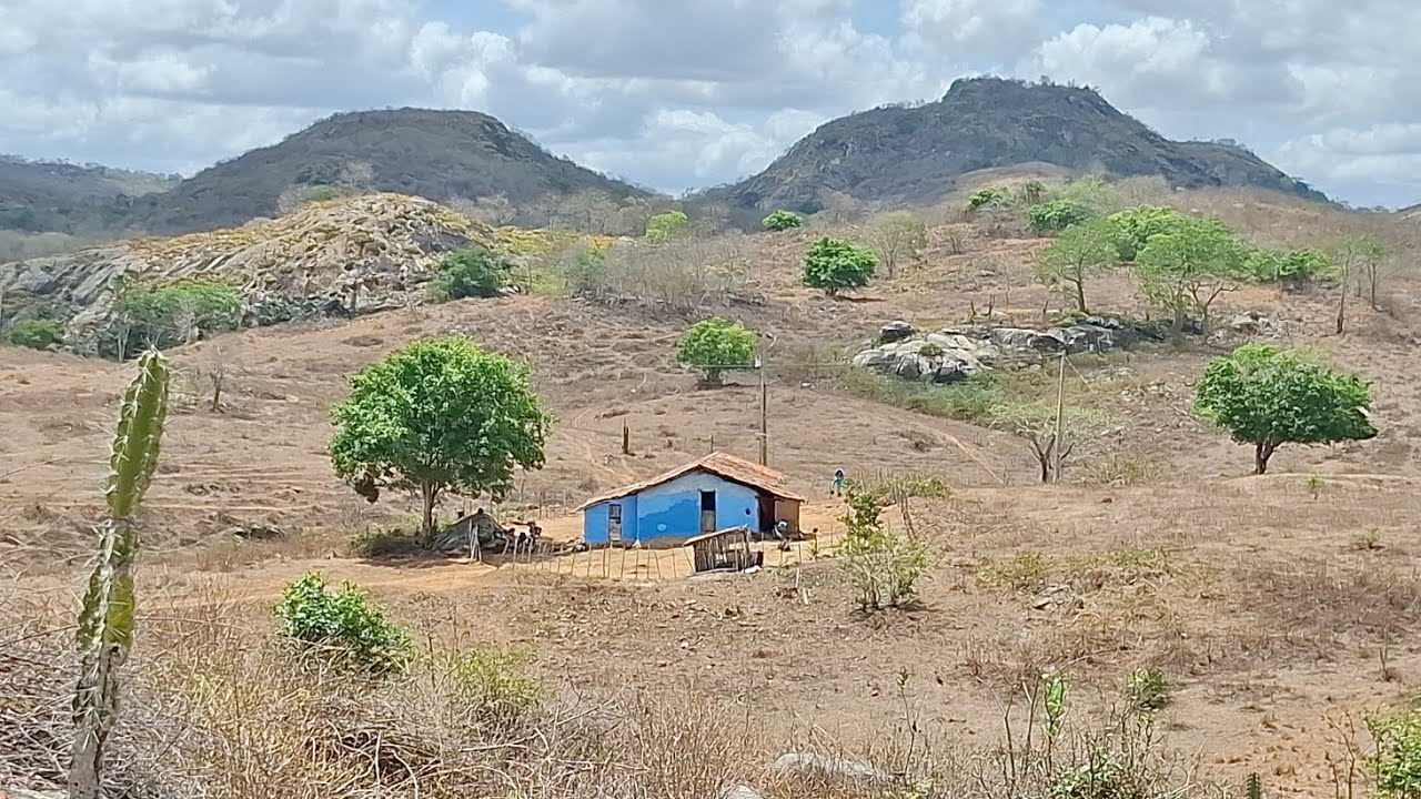 Um belíssimo lugar cheio de criações no coração do agreste Paraibano 