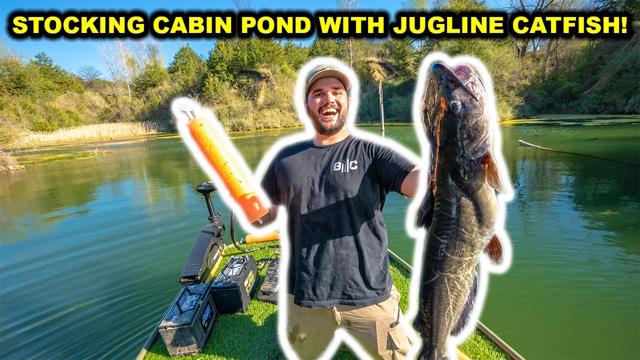 Catching BIG Catfish in BACKYARD POND with JUGS to STOCK Cabin Pond!!!