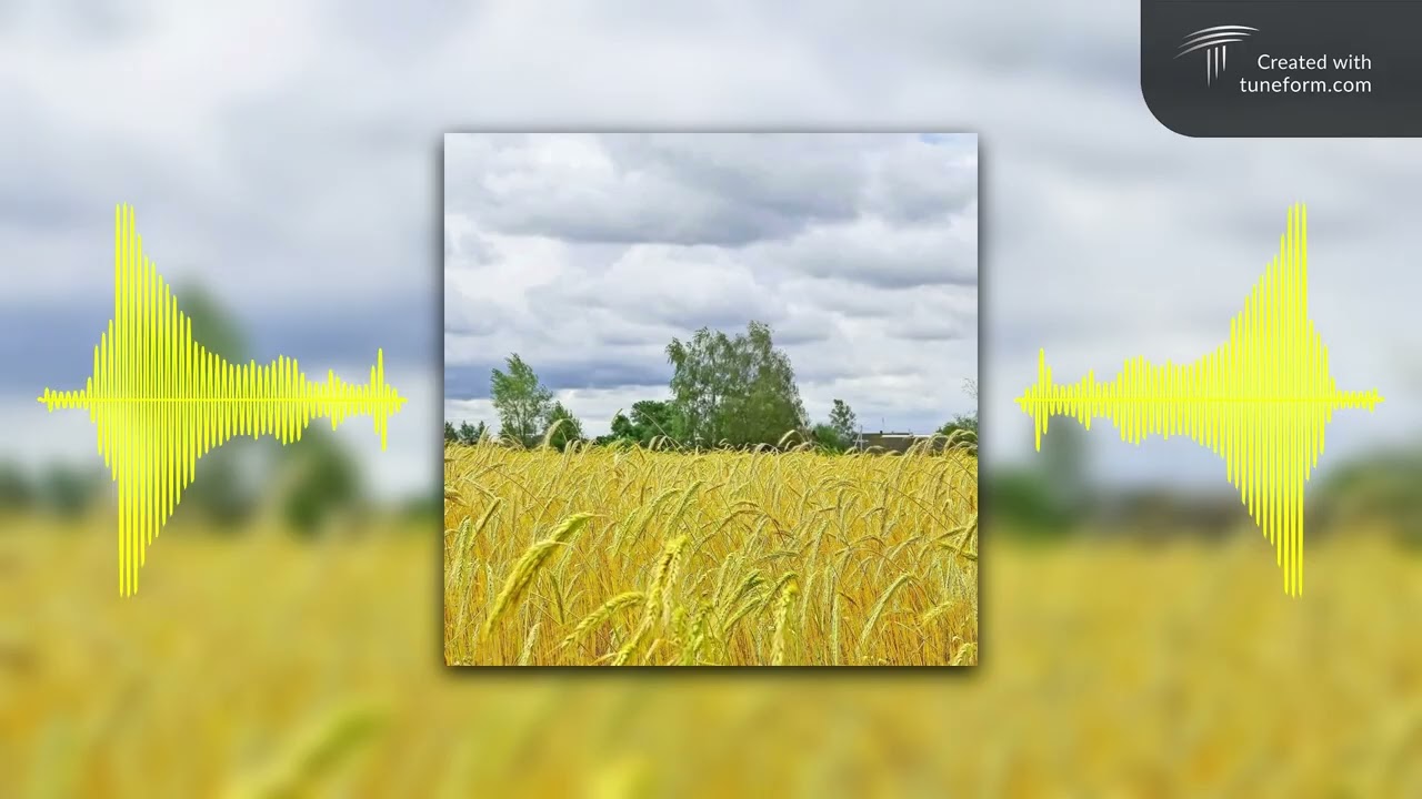 Fifine - Золотая рожь