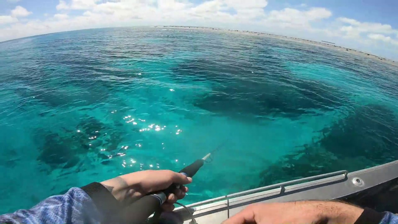 SOLO MISSION, FISHING THE BUNKER GROUP