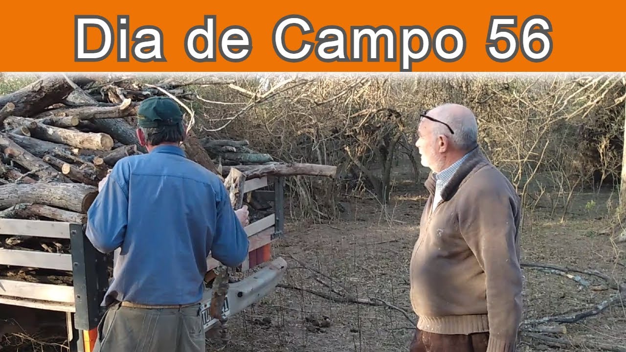 #56 - Muy Duro Golpe + Saludos Suscriptores