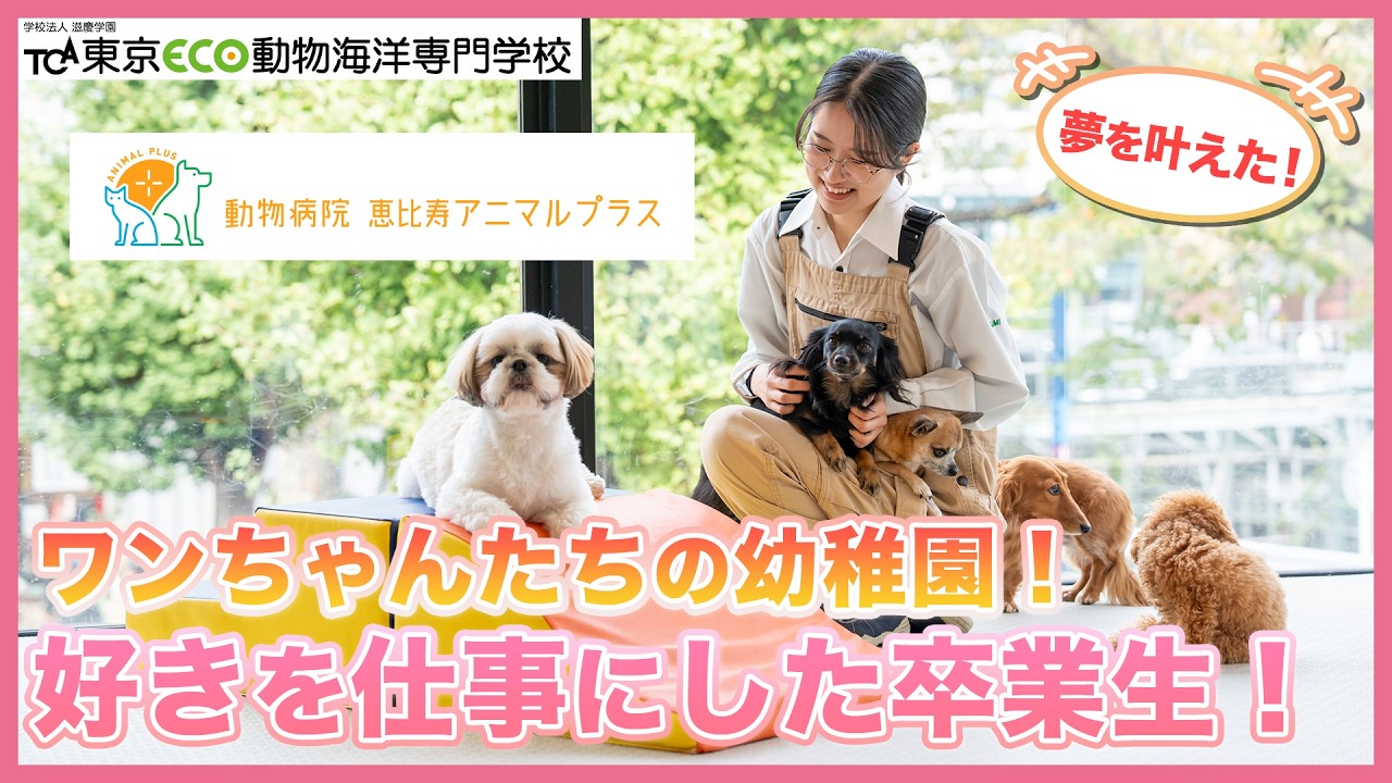 【東京ECO】動物病院 恵比寿アニマルプラスでドッグトレーナーとして活躍する卒業生にインタビュー！【TCA東京ECO動物海洋専門学校】